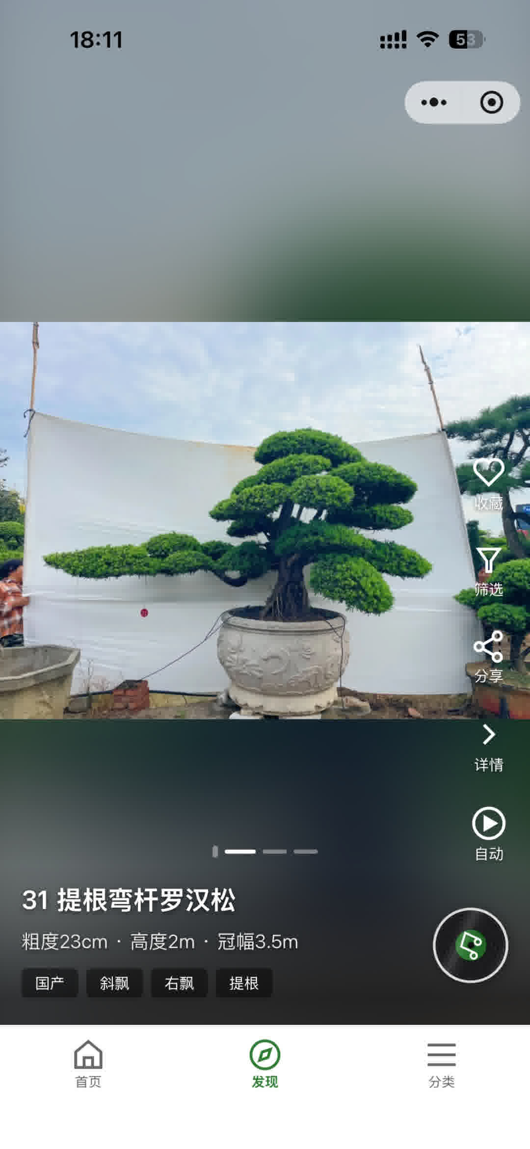 发现页:上下滑动浏览苗木实拍图片和视频