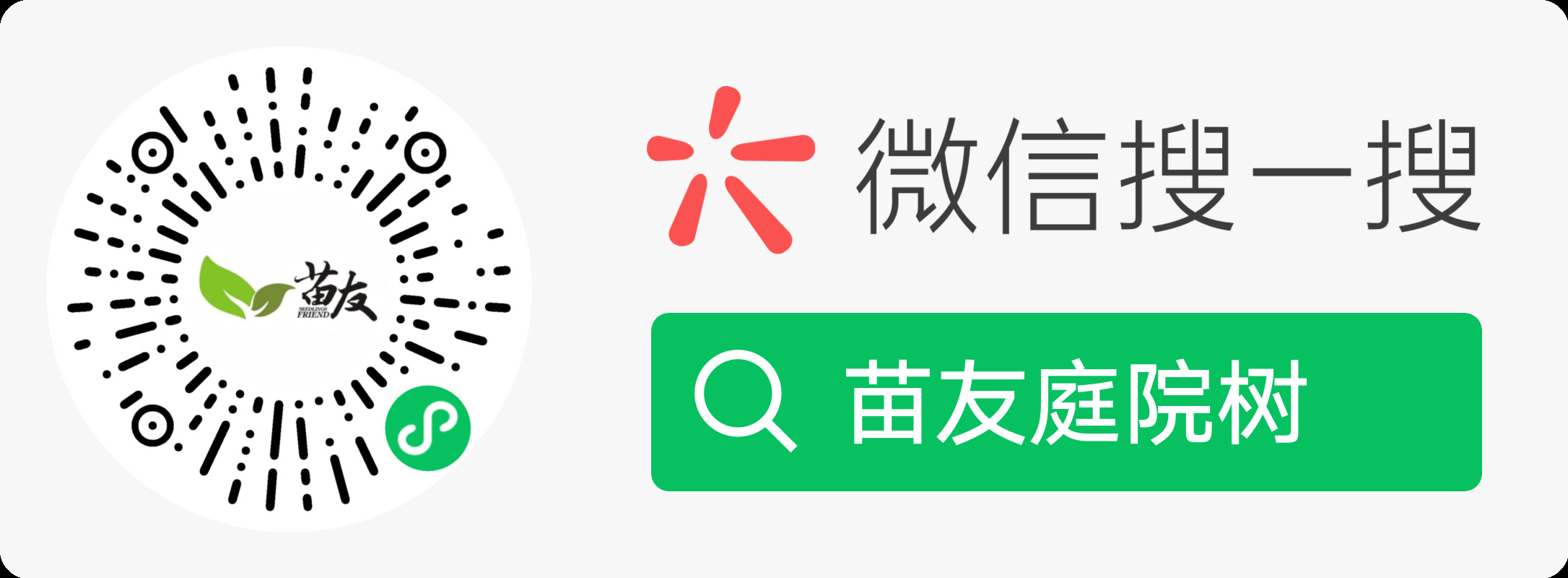 微信搜一搜:苗友庭院树,或扫描左侧小程序码